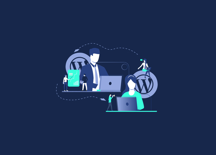 When To hire A Professional To Customize Your WordPress Theme?
