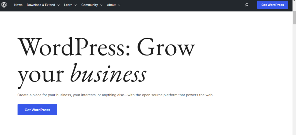 WordPress for business 