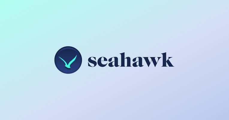 Seahawk-erschwinglicher Website-Design-Service