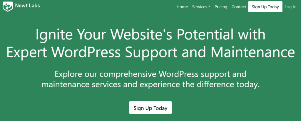 newtlabs-bug-free-wordpress-support-services-uk