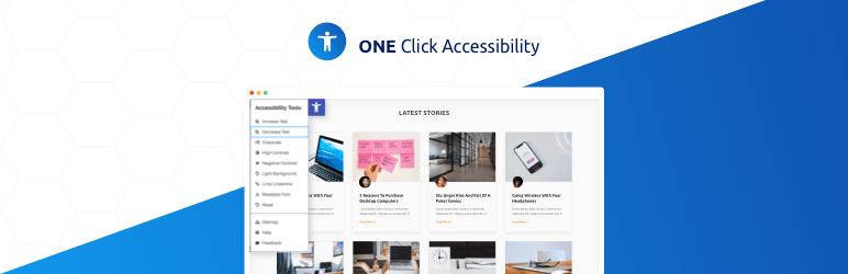 WordPress accessibility plugin