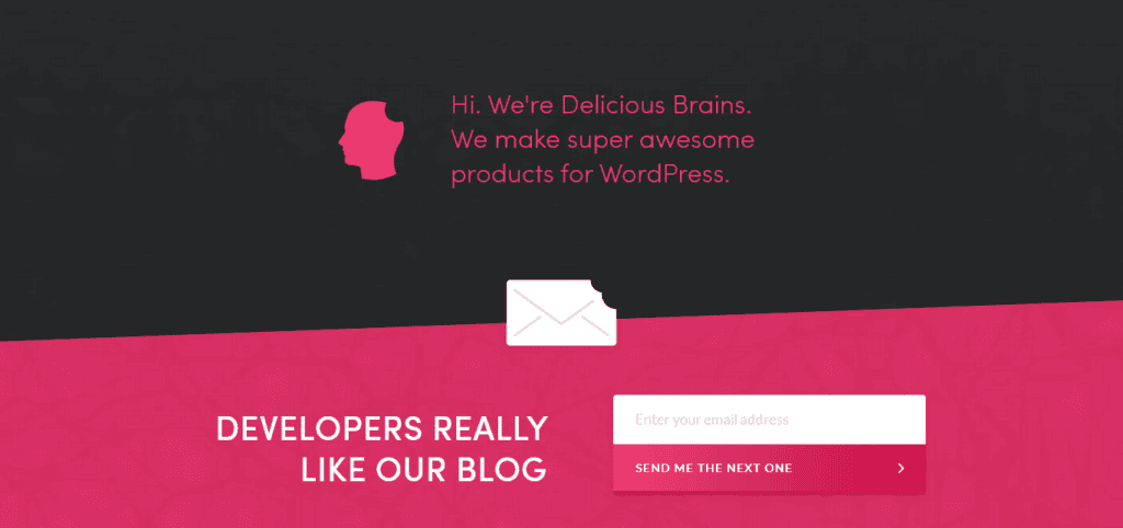 deliciousbrains-wordpress-site-example