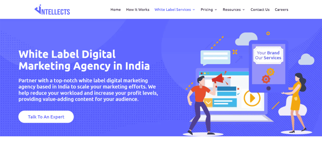 dintellects-white-label-marketing-digitale-agenzia-india