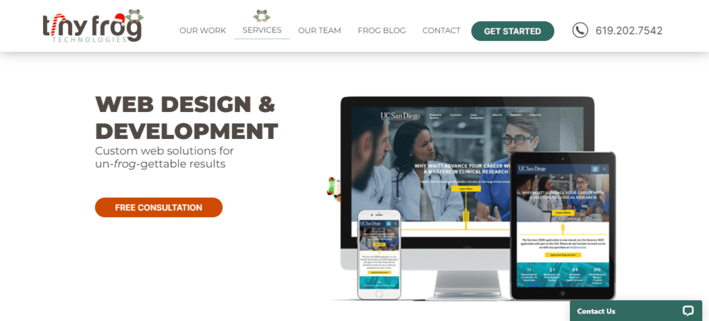 tinyfrog-sito web personalizzato-progettazione-sviluppo