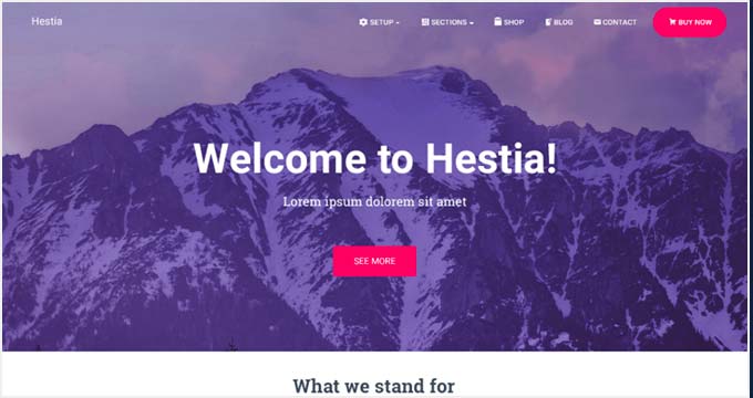 Hestia I migliori temi WordPress gratuiti