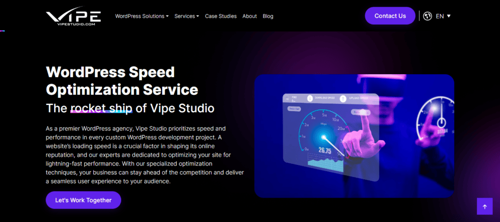 vipestudio-wordpress-speed-optimization-service