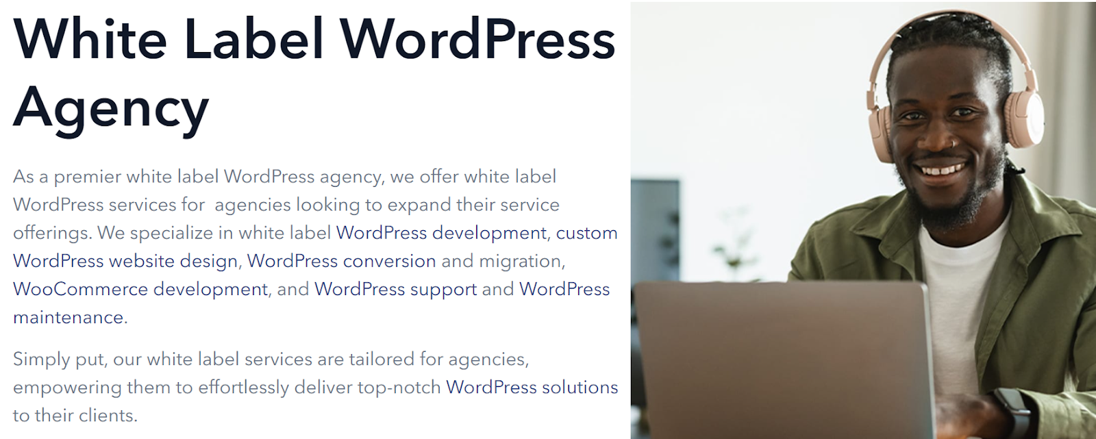Contratación de un socio de marca blanca para WordPress