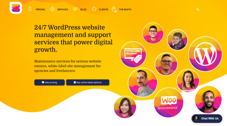 Gestione del sito web WordPress - WP Buffs