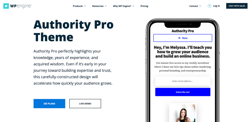 Authority Pro themes for small businesses