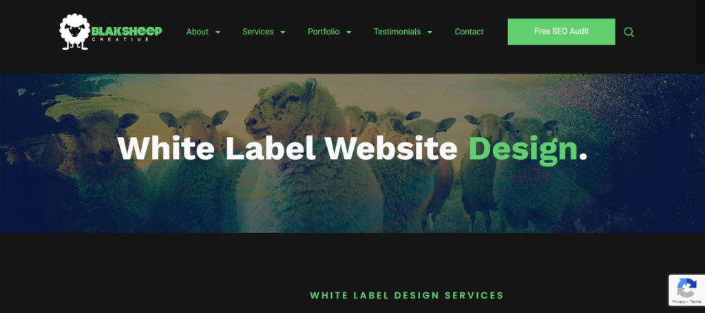 blaksheepcreative-white-label-web-design-diensten