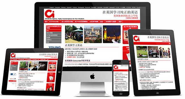 website development companies in China