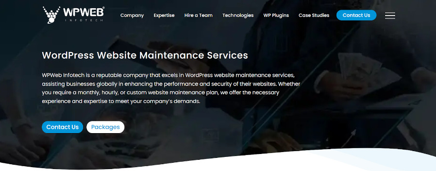 WPWeb info tech - WordPress maintenance service