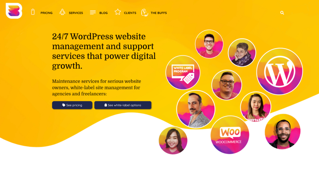 Assistenza clienti WordPress