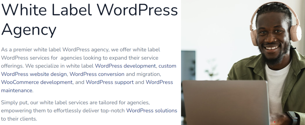 白标 WordPress 服务的有效性