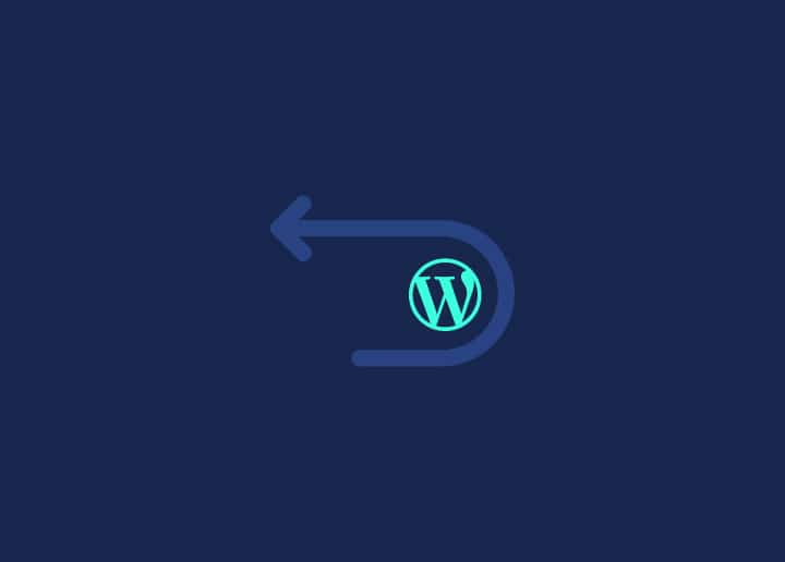 Undo Changes in WordPress