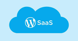 WordPress SAAS Development 