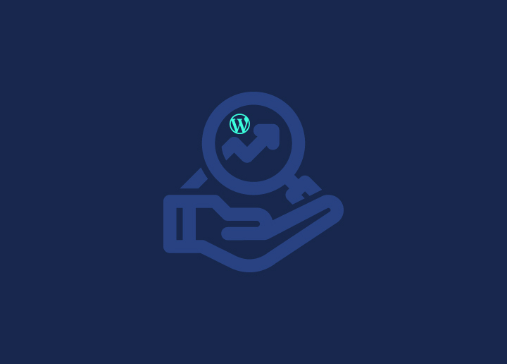 WordPress Support Agency