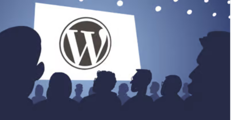 WordPress-expertise