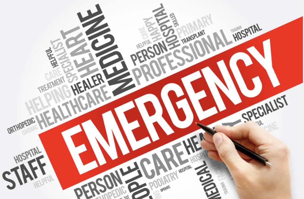 Common-Emergency-WordPress-Issues