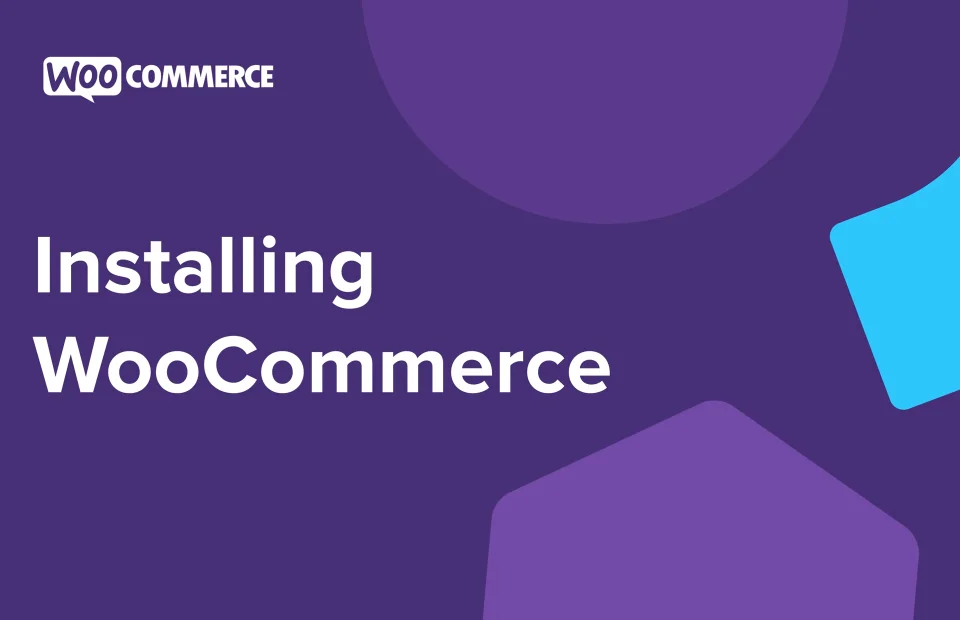 install to go headless woocommerce