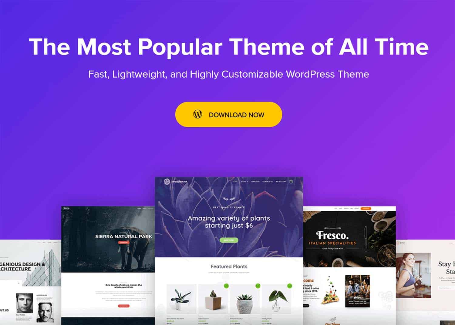 Bästa WordPress-webbdesigner för nätverksleverantörer 79 Astra