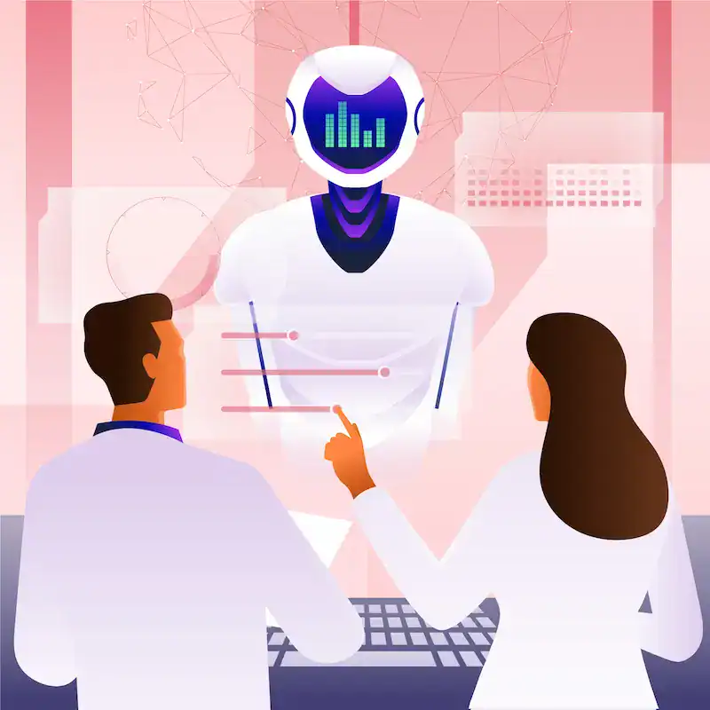 Fractional AI Consultant - Seahawk Fractional AI Consultant