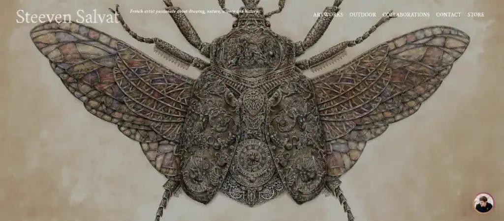 85 Beispiele und Designideen für die besten Webseiten von Kunsthandwerkern Steeven Salvat