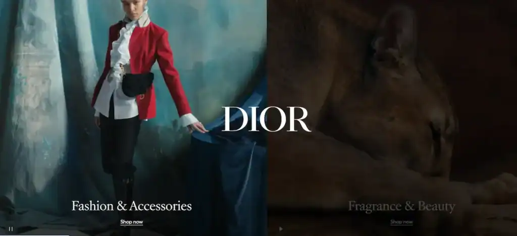 2025年のベストファッションウェブサイト:刺激的なウェブデザインアイデア79選 ディオールのウェブサイト