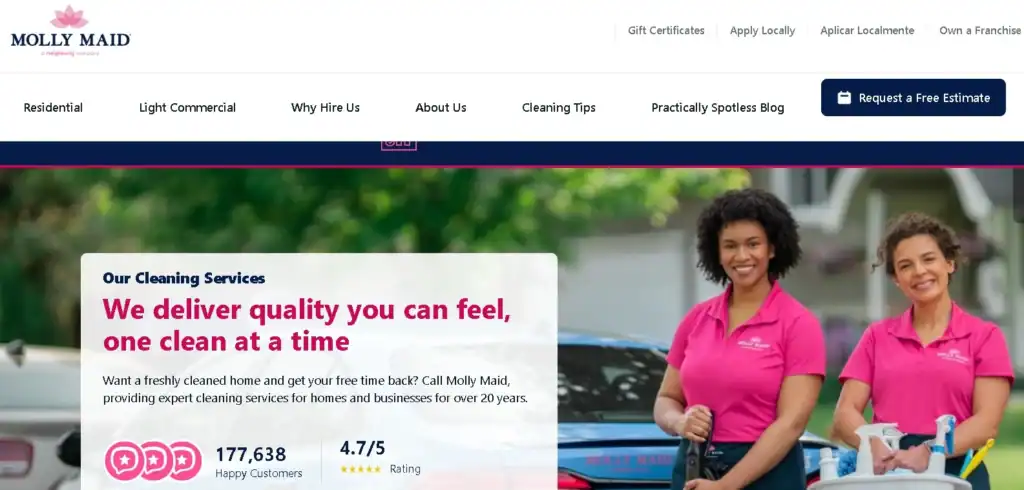 Voorbeelden van topwebsites voor huishoudelijke schoonmaak ter inspiratie (80 stuks) Molly-meid