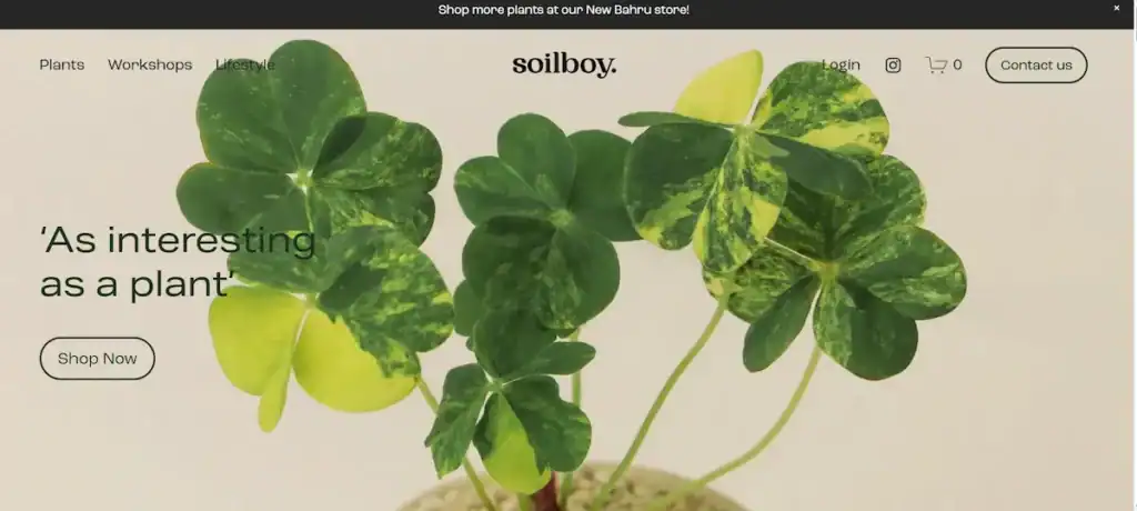 最高のローカル小売ウェブサイト:UXに関する洞察、デザイン事例、アイデア 84 ソイルボーイ