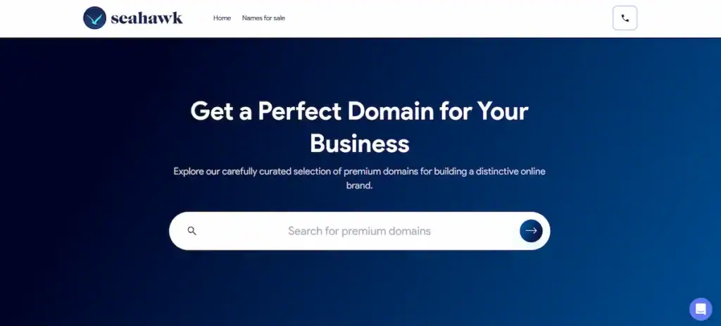 What is a Premium Domain Name and How to Buy it? 81 domains-seahawkmedia-homepage