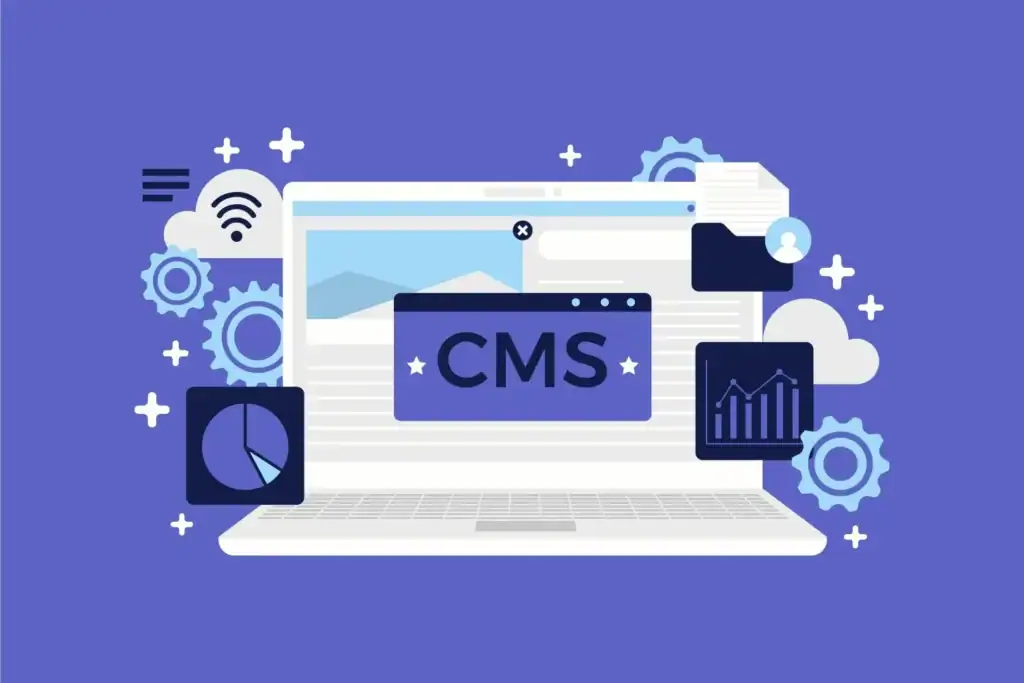 WordPress Maintenance - Seahawk WordPress Maintenance