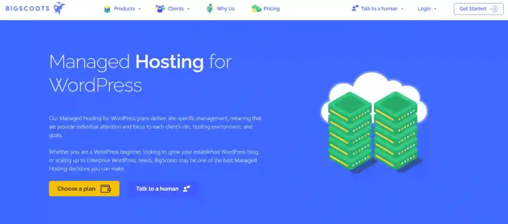 De beste managed WordPress hostingproviders waarop u in 2026 kunt vertrouwen 86 Bigscoots