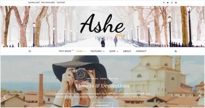 Procurando os melhores temas gratuitos para blogs WordPress? Aqui estão os que valem a pena usar em 2026 ashe - temas de blog