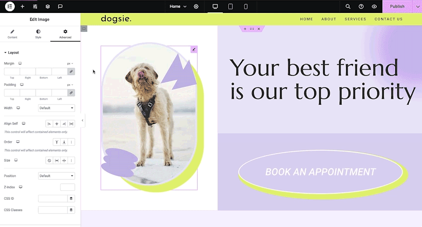 Hur man konverterar Adobe XD Design till Elementor WordPress-webbplatser i 10 enkla steg 83 Lägg till interaktiva element i elementor