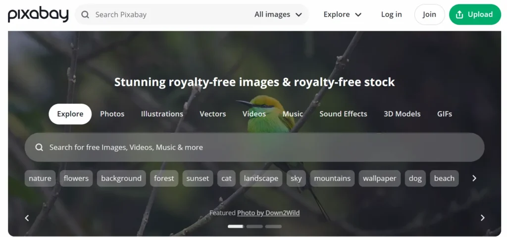 Bedste gratis billedhosting-sider til hurtige og sikre uploads 88 Pixabay