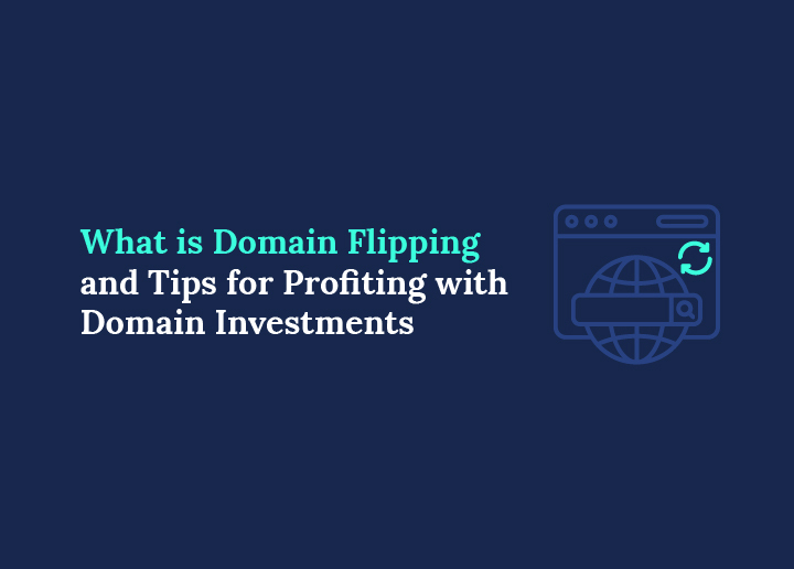 what-is-domain-flipping