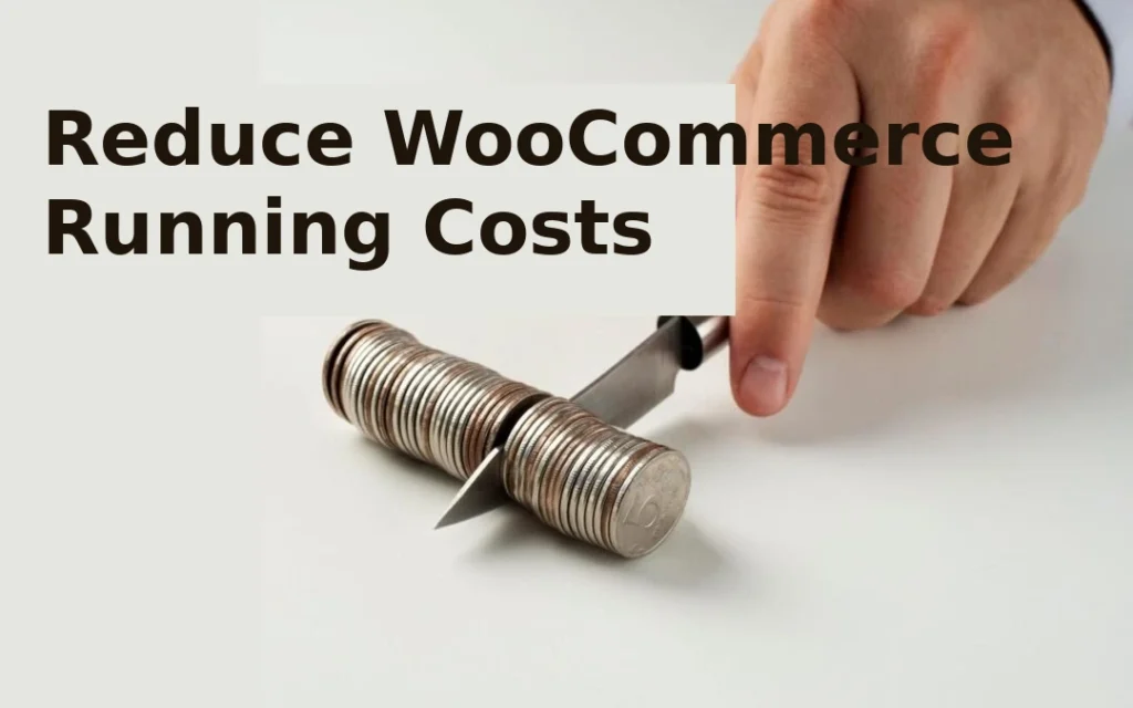 WooCommerce Cost: Understanding Pricing and Expenses in 2026 79 Reduce WooCommerce Running Costs tips