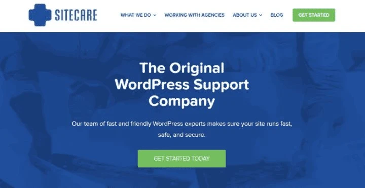 Las 10 mejores alternativas a WP Buffs para el mantenimiento de WordPress en 2026 83 Mantenimiento del sitio