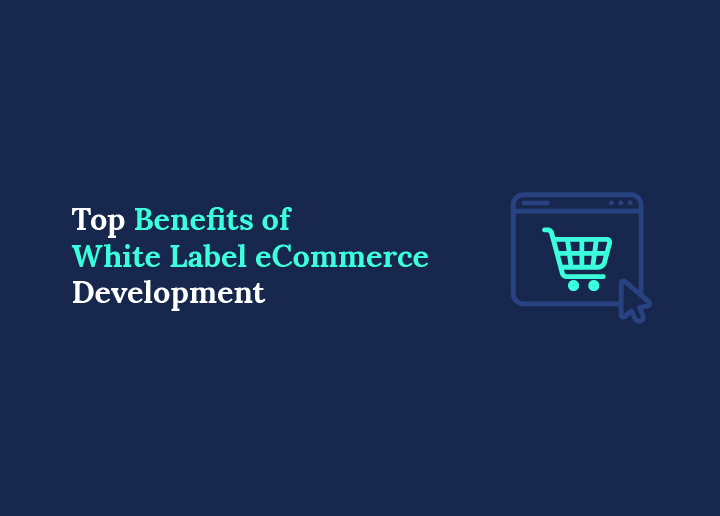 Top Benefits of White-Label eCommerce Development for Growing Agencies