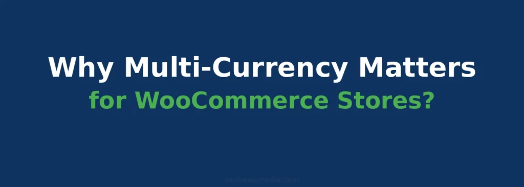 Multivaluta per WooCommerce: come configurarla e vendere a livello globale? 79 perché la gestione di più valute è importante in WooCommerce